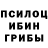 Псилоцибиновые грибы MAGIC MUSHROOMS Ivan Zelenskyi