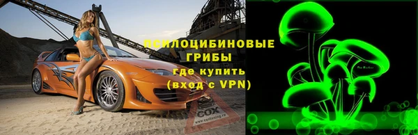 не бодяженный Ельня