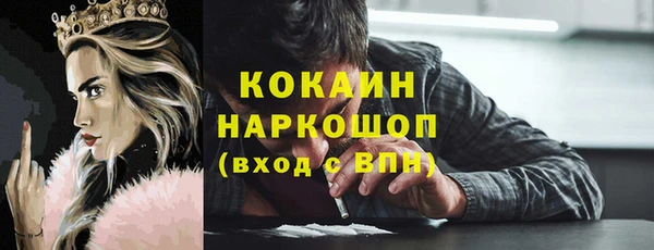 индика Елабуга