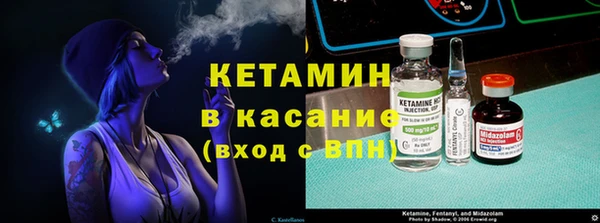 индика Елабуга