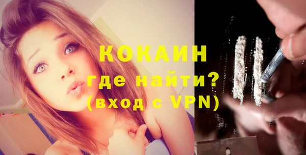 индика Елабуга