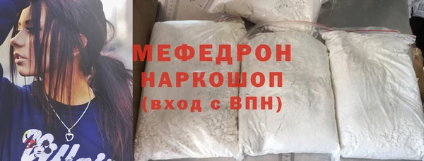 индика Елабуга