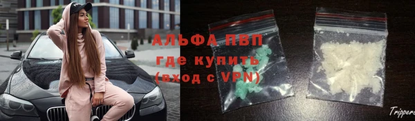 индика Елабуга