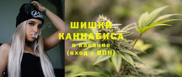 хмурый Елизово