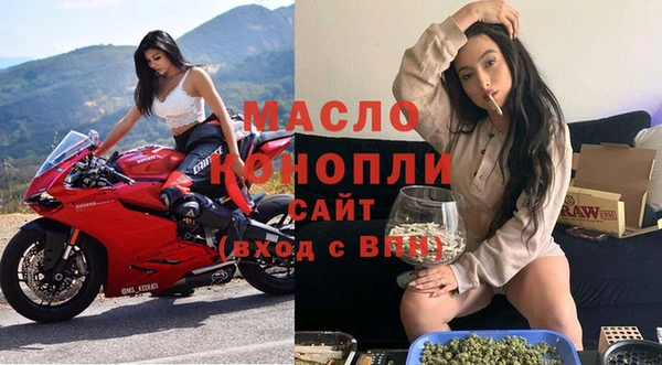 индика Елабуга