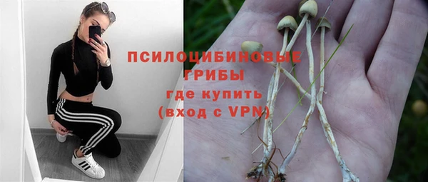 индика Елабуга