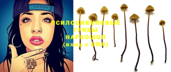 хмурый Елизово