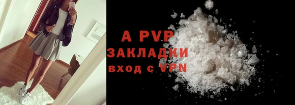 индика Елабуга