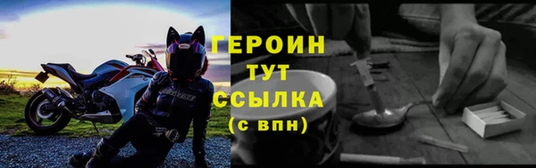 индика Елабуга