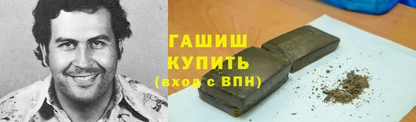 индика Елабуга