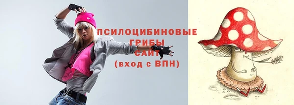 индика Елабуга