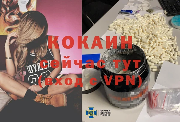 индика Елабуга