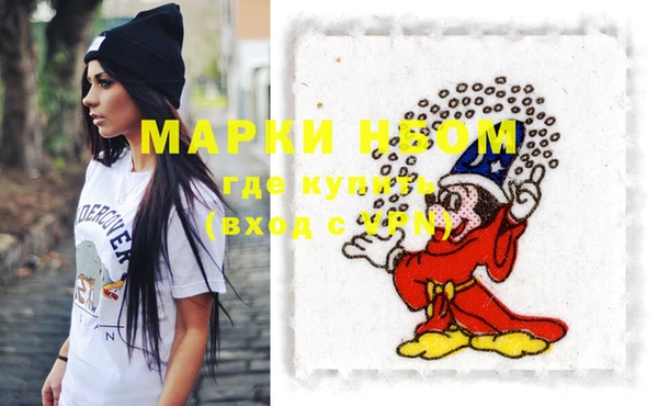 хмурый Елизово