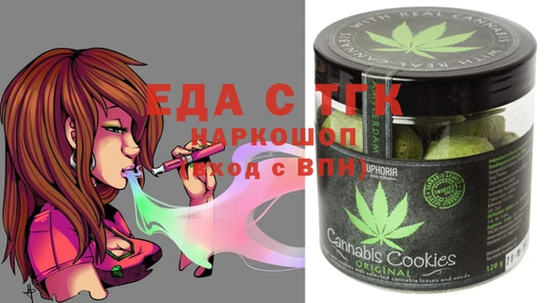 индика Елабуга