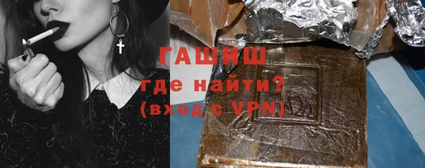 индика Елабуга