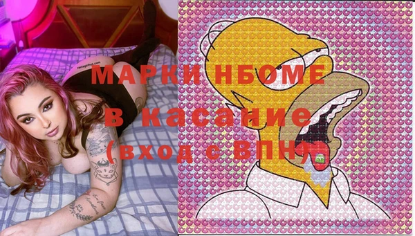 индика Елабуга