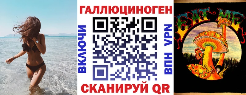 Купить  Новая Ладога  Галлюциногенные грибы прущие грибы 